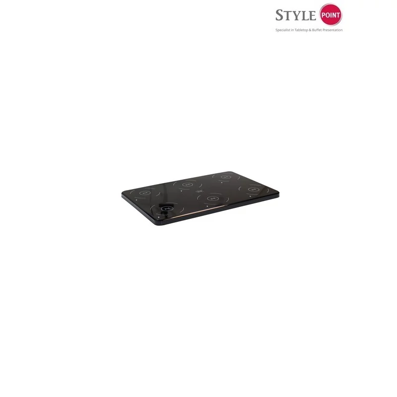 StylePoint indukciós töltőállomás